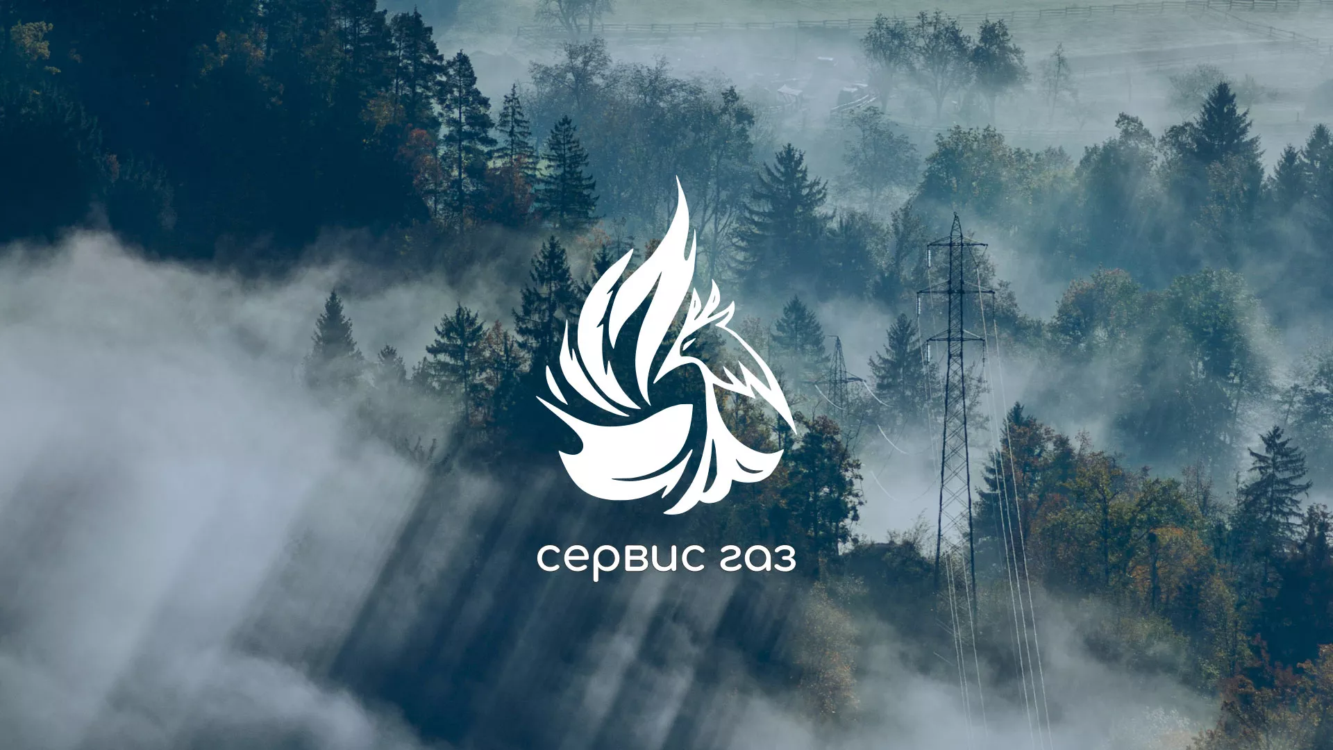 Создание сайта компании «Сервис газ» в Новосокольниках