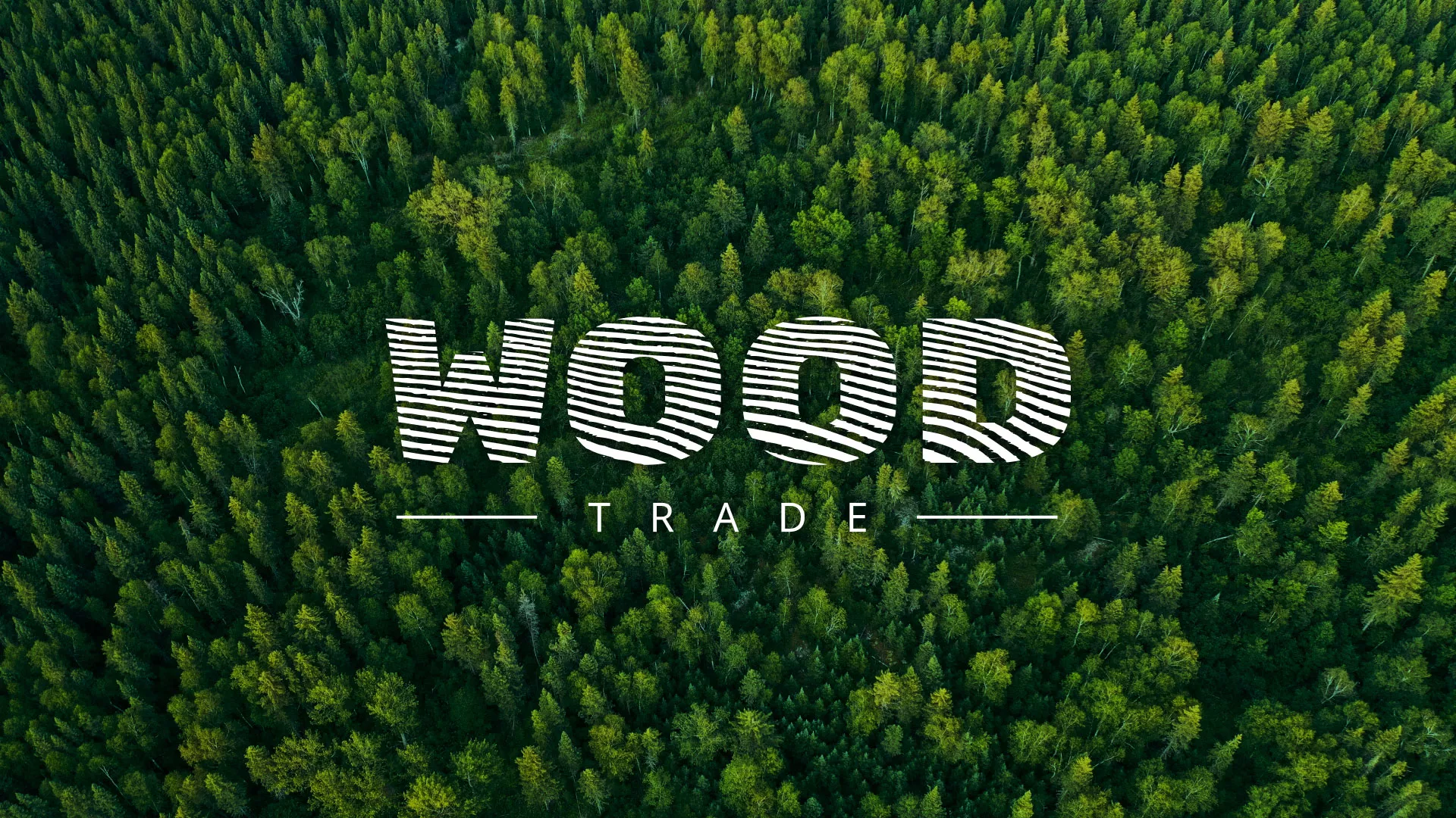 Разработка интернет-магазина компании «Wood Trade» в Новосокольниках
